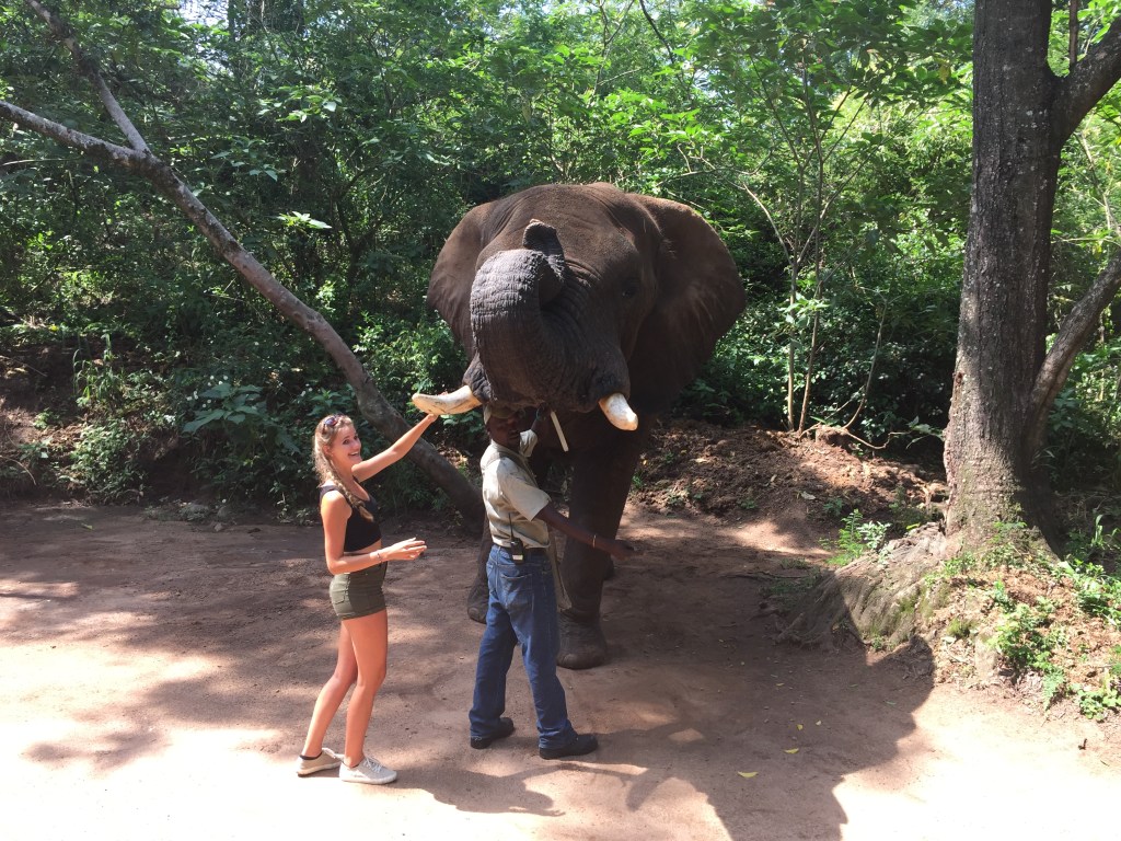 Photo 11-12-2015, 12 58 02 PM