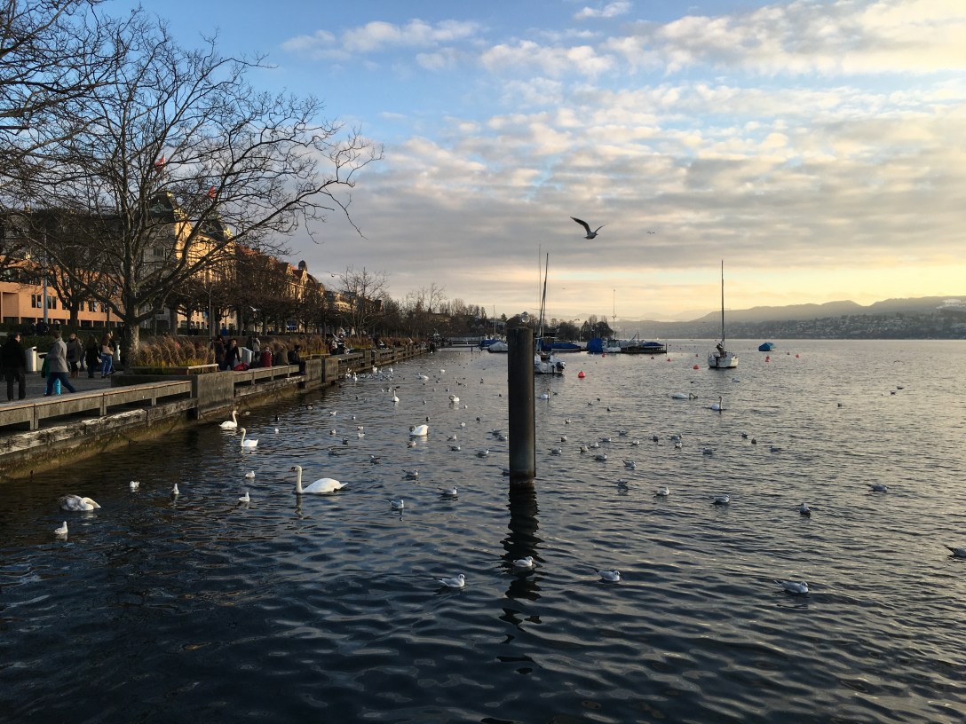 Photo 2016-01-24 01 34 03