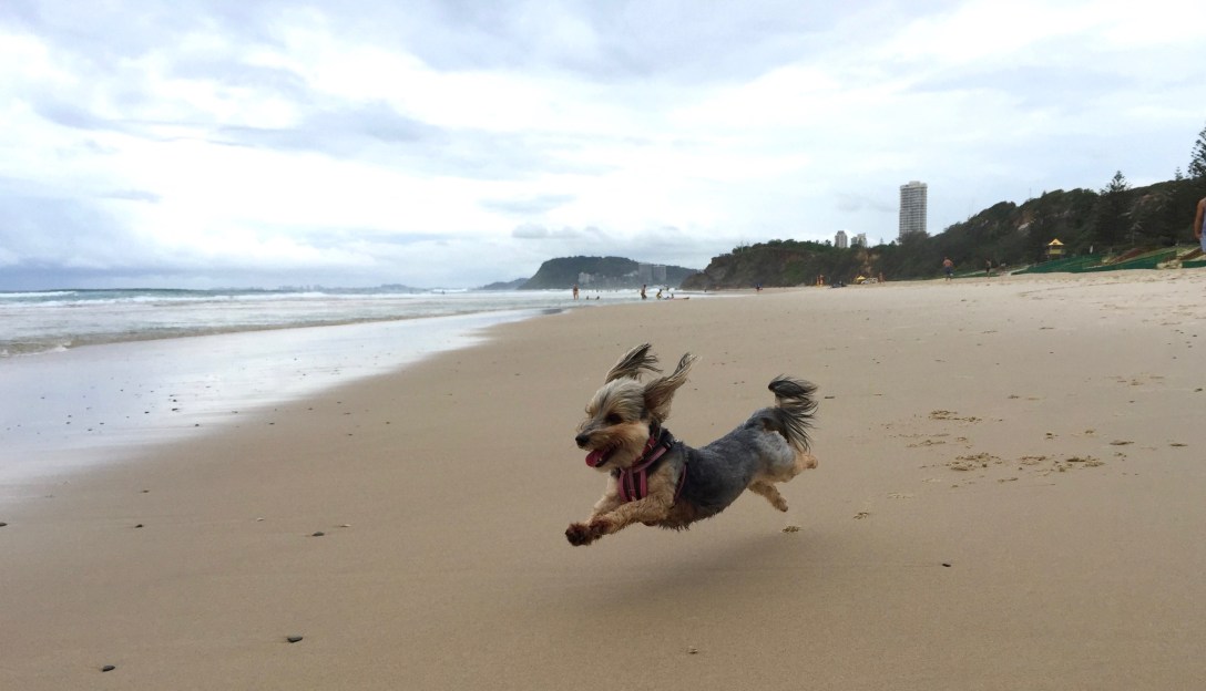 Photo 27-03-2016, 12 59 57 PM.jpg