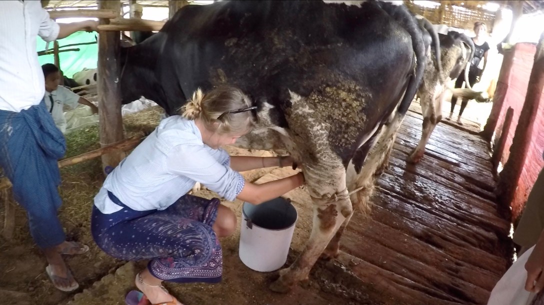 Screen Shot 2016-08-03 at 20.20.07