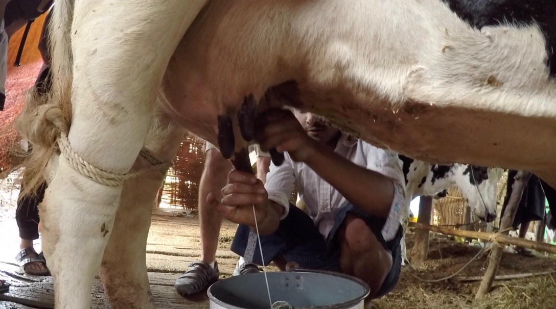 Screen Shot 2016-08-03 at 20.21.59