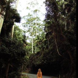 The good old warm days