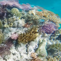 Hamilton Island 2014