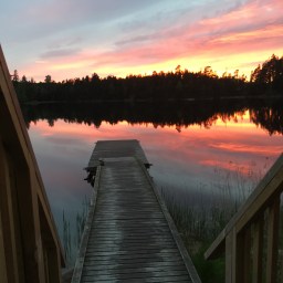 When the Swedish summer arrives 