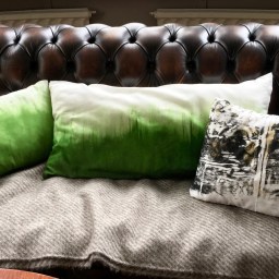 Painted pillows – recycle